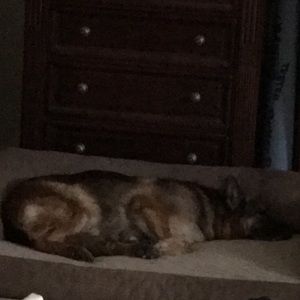 Meet your Posher, Patricia